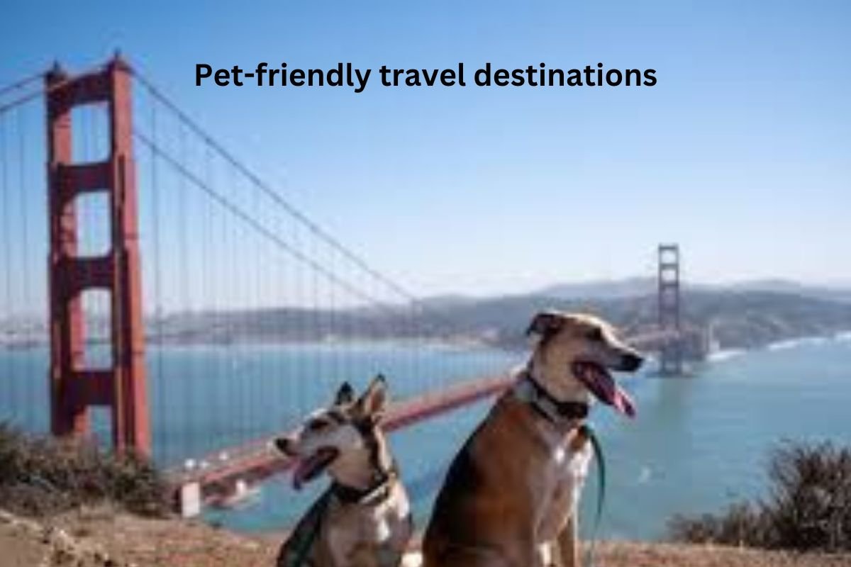 "Pet-friendly travel destinations"