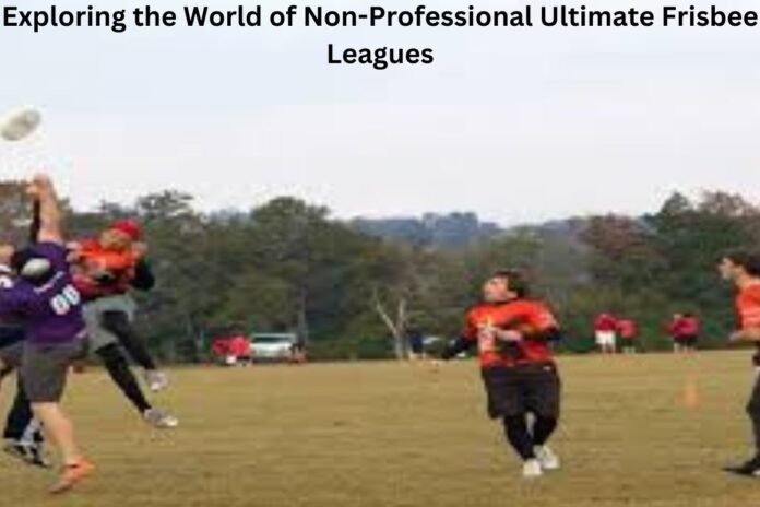 Non-professional ultimate frisbee leagues