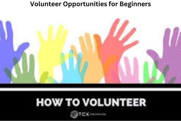 Volunteer Opportunities for Beginners